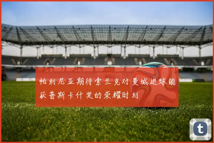 帕利尼亚期待索兰克对曼城进球能获普斯卡什奖的荣耀时刻