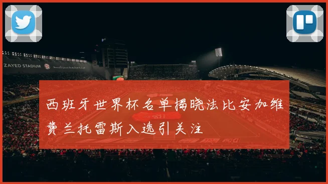 西班牙世界杯名单揭晓法比安加维费兰托雷斯入选引关注