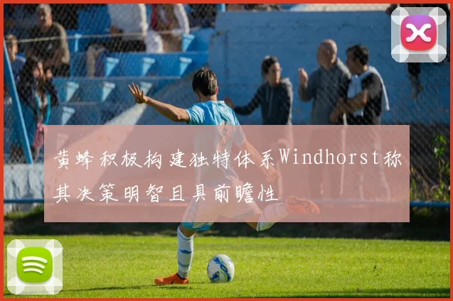 黄蜂积极构建独特体系Windhorst称其决策明智且具前瞻性
