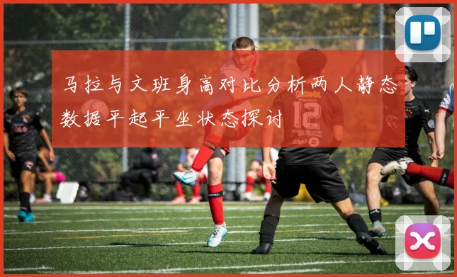 马拉与文班身高对比分析两人静态数据平起平坐状态探讨