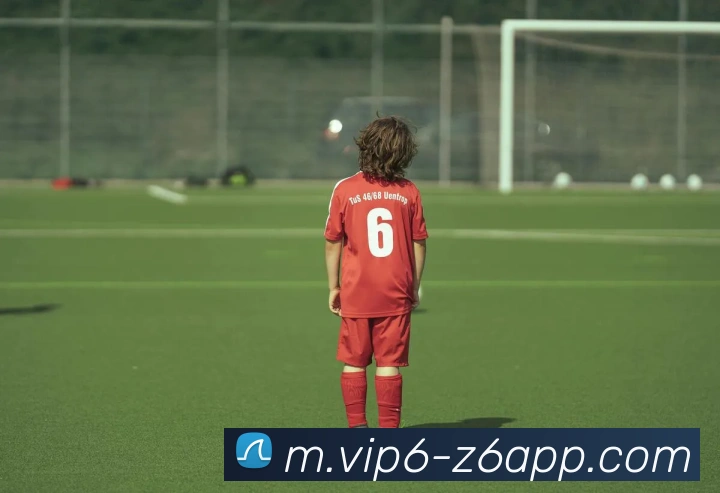体育直播服务